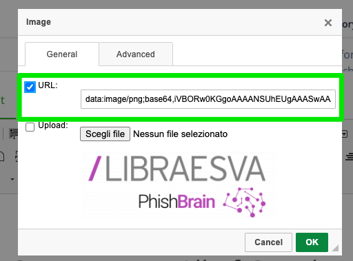 PhishBrain base64 image field